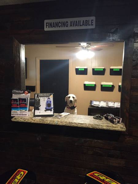 daily picdump 101 pics 101.html - 101 HD Photos | Premium Gallery 2015