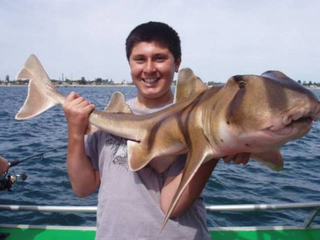 daily picdump 101 pics 101.html - 101 HD Photos | Premium Gallery 2015