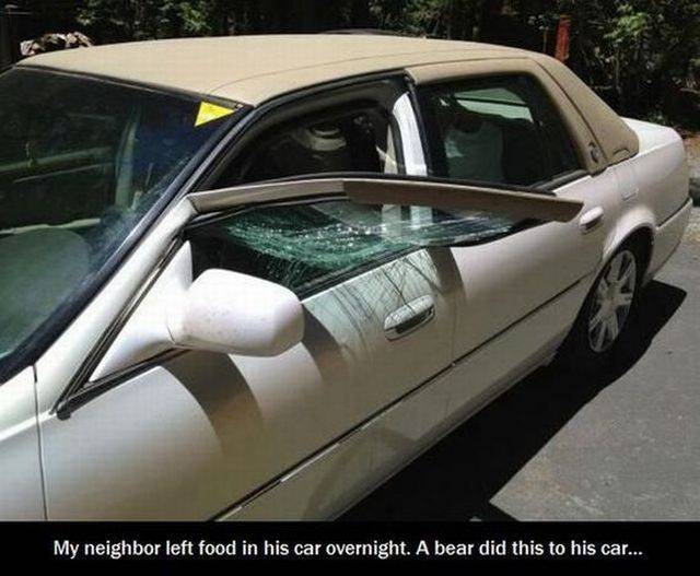 daily picdump 101 pics 101.html - 101 HD Photos | Premium Gallery 2015