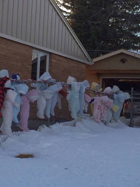 daily picdump 101 pics 101.html - 101 HD Photos | Premium Gallery 2015