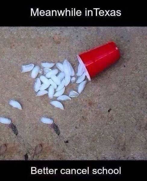 daily picdump 101 pics 101.html - 101 HD Photos | Premium Gallery 2015