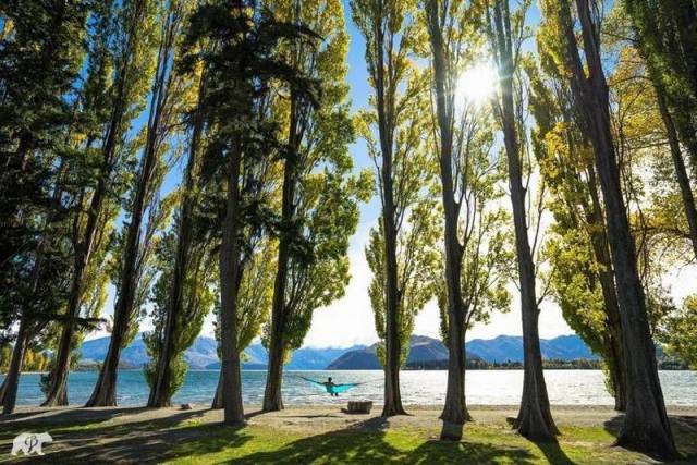 daily picdump 101 pics 101.html - 101 HD Photos | Premium Gallery 2015