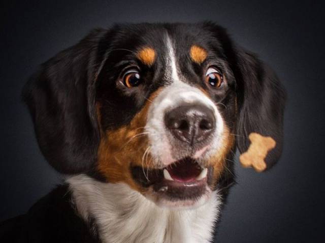 daily picdump 101 pics 101.html - 101 HD Photos | Premium Gallery 2015