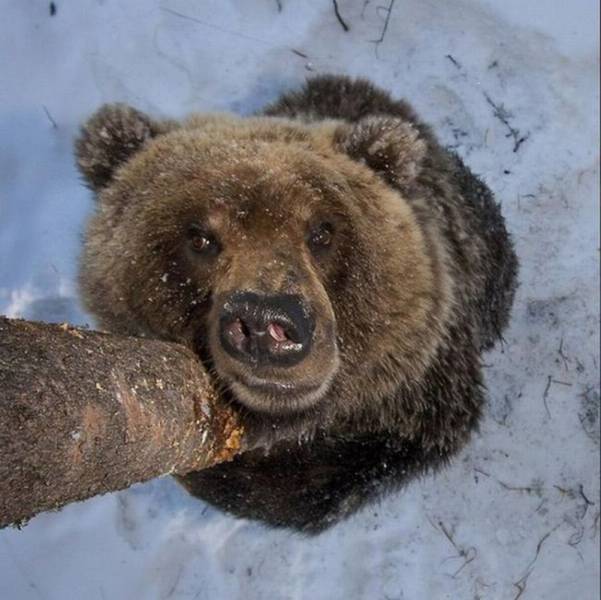 daily picdump 101 pics 101.html - 101 HD Photos | Premium Gallery 2015