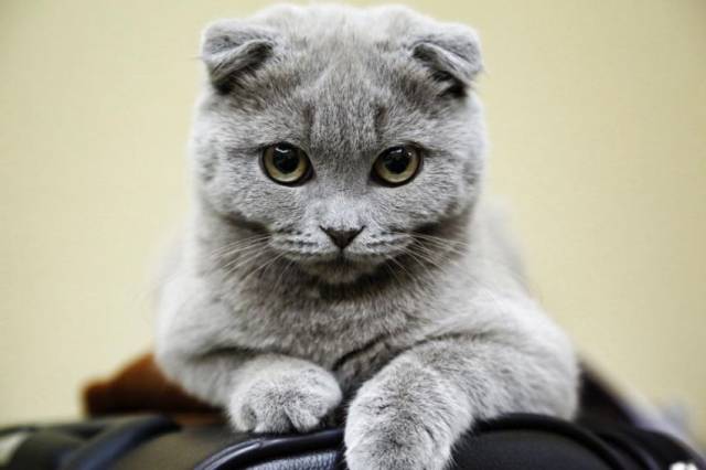 daily picdump 101 pics 101.html - 101 HD Photos | Premium Gallery 2015