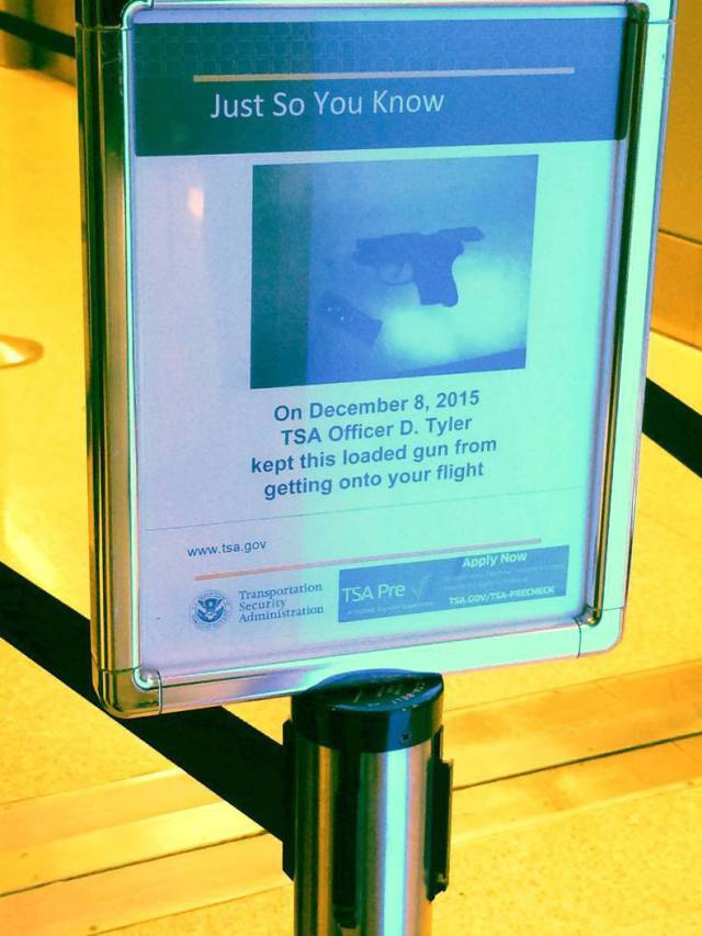 daily picdump 101 pics 101.html - 101 HD Photos | Premium Gallery 2015