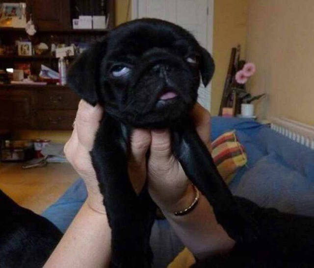 morning picdump 50 pics 2.html - 50 HD Photos | Premium Gallery 2015