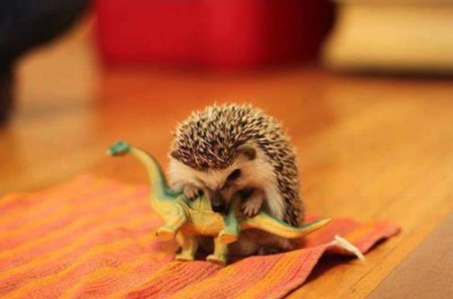 morning picdump 50 pics 2.html - 50 HD Photos | Premium Gallery 2015