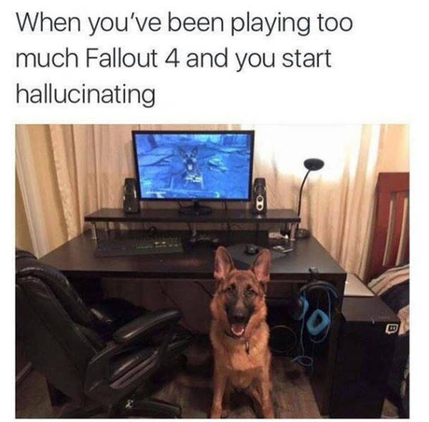 Gamers Will Approve...