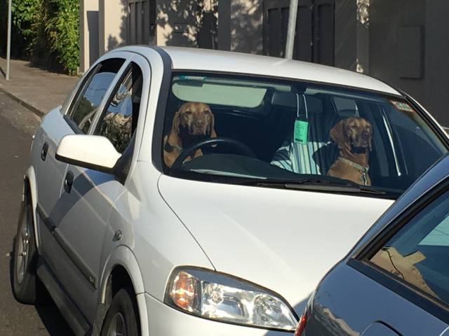 morning picdump 54 pics 18.html - 54 HD Photos | Premium Gallery 2015