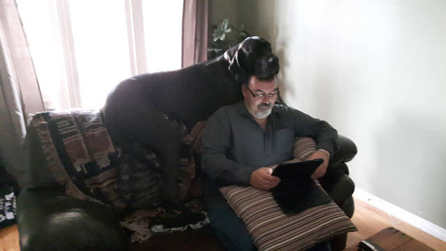 morning picdump 54 pics 18.html - 54 HD Photos | Premium Gallery 2015