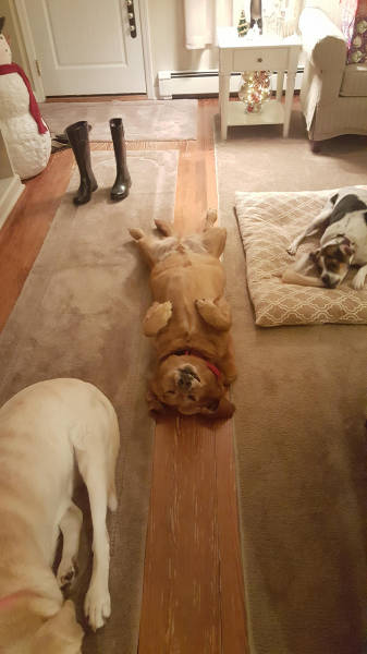 morning picdump 54 pics 18.html - 54 HD Photos | Premium Gallery 2015