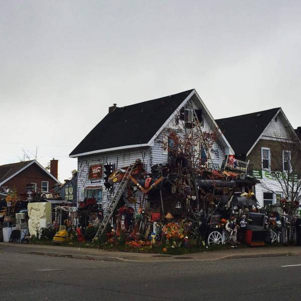 WTF Did I Just Watch?