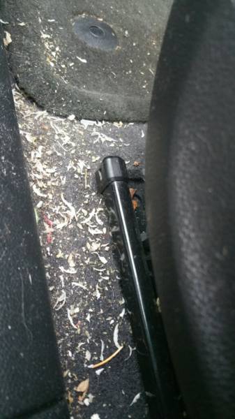 WTF Did I Just Watch?