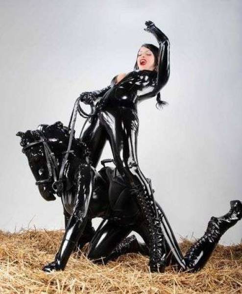 WTF Did I Just Watch?