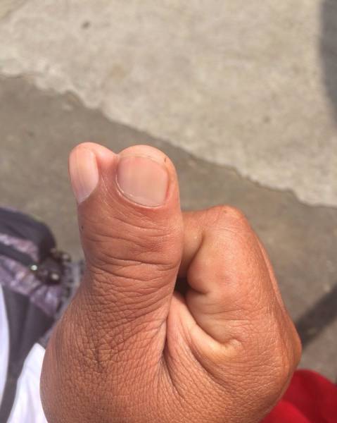 WTF Did I Just Watch?