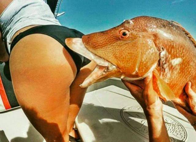 grownup corner 69 pics 11 gifs 35.html - 69 HD GIF | Premium Gallery 2015