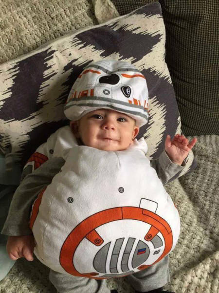 funny picdump 56 pics 20.html - 56 HD Photos | Premium Gallery 2016