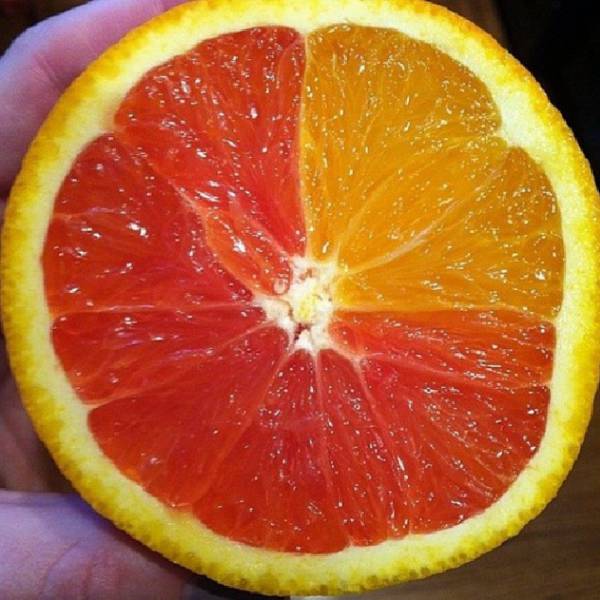 morning picdump 54 pics 25.html - 54 HD Photos | Premium Gallery 2016