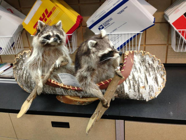 morning picdump 54 pics 25.html - 54 HD Photos | Premium Gallery 2016