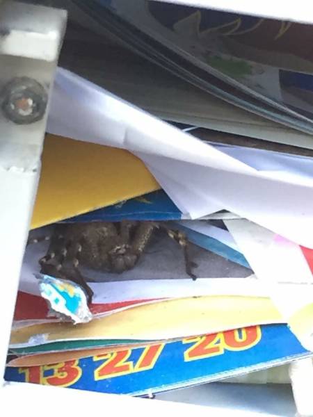 morning picdump 54 pics 25.html - 54 HD Photos | Premium Gallery 2016