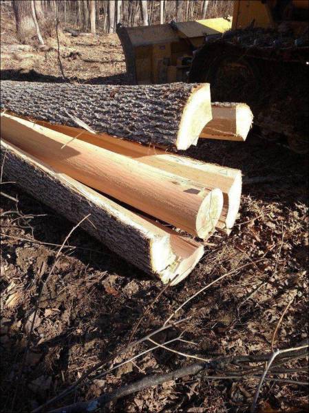 daily picdump 102 pics 42.html - 102 HD Photos | Premium Gallery 2016