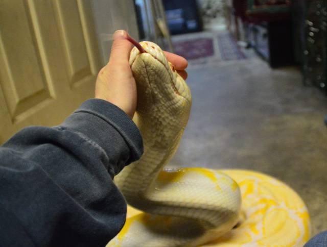 daily picdump 102 pics 42.html - 102 HD Photos | Premium Gallery 2016