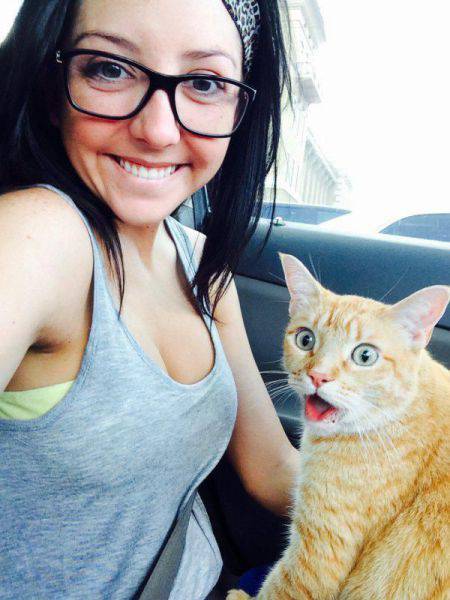 daily picdump 102 pics 42.html - 102 HD Photos | Premium Gallery 2016