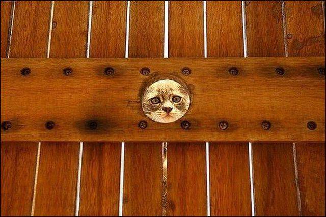 daily picdump 102 pics 42.html - 102 HD Photos | Premium Gallery 2016