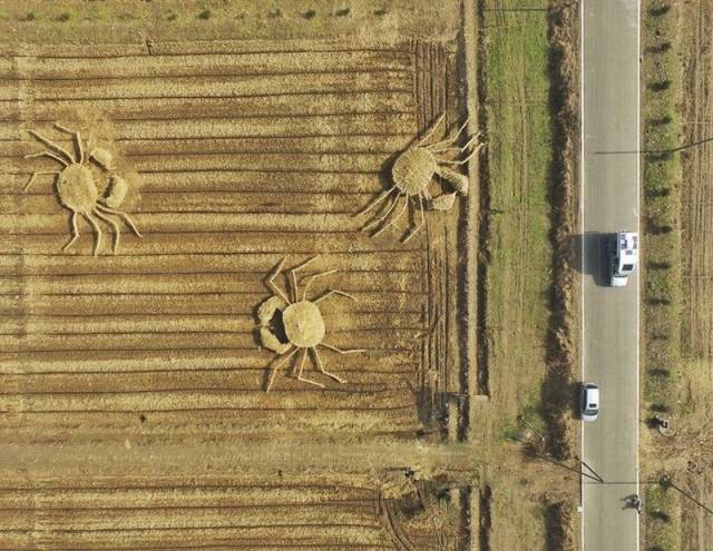 daily picdump 102 pics 42.html - 102 HD Photos | Premium Gallery 2016