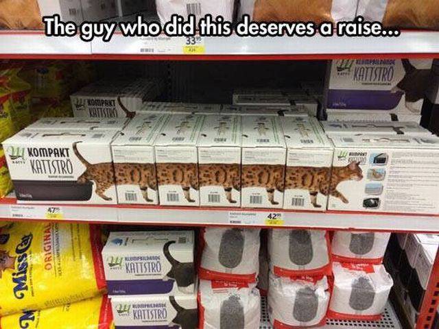 daily picdump 102 pics 42.html - 102 HD Photos | Premium Gallery 2016