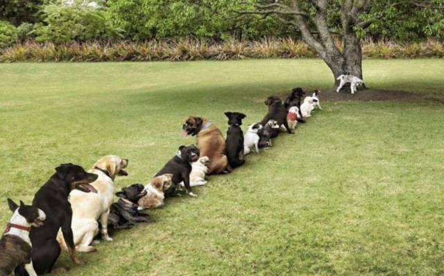 daily picdump 102 pics 42.html - 102 HD Photos | Premium Gallery 2016