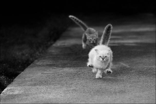 daily picdump 102 pics 42.html - 102 HD Photos | Premium Gallery 2016