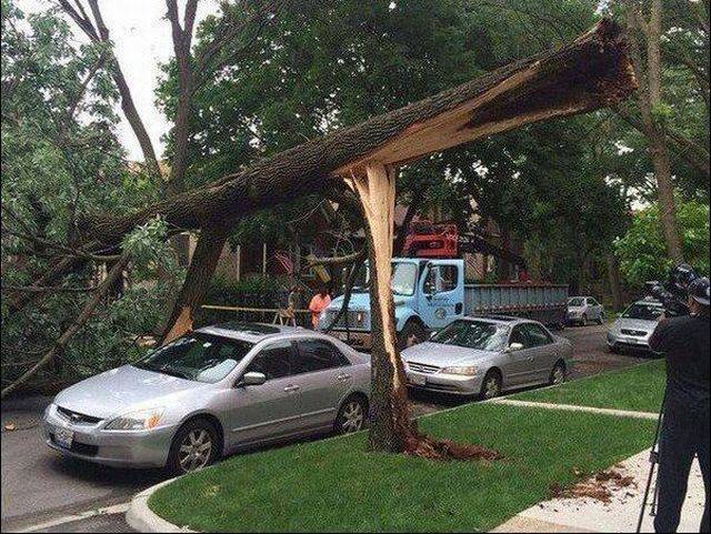 daily picdump 102 pics 42.html - 102 HD Photos | Premium Gallery 2016