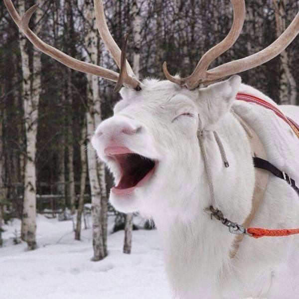 daily picdump 102 pics 42.html - 102 HD Photos | Premium Gallery 2016