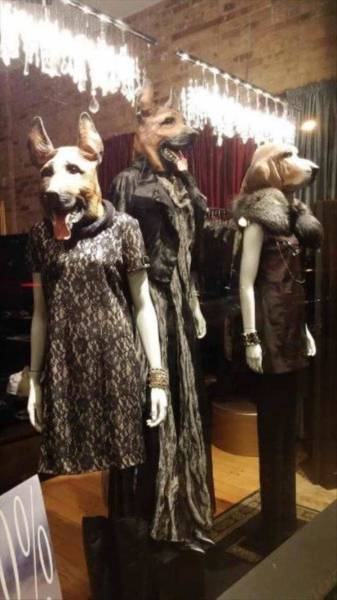 daily picdump 102 pics 42.html - 102 HD Photos | Premium Gallery 2016