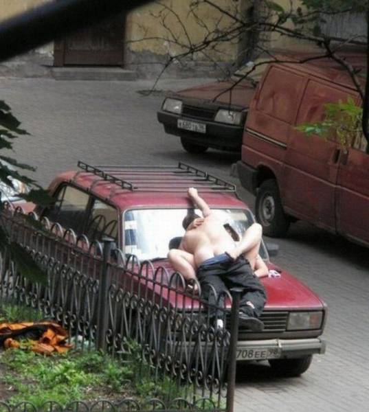 grownup corner 61 pics 12 gifs 7.html - 61 HD GIF | Premium Gallery 2016