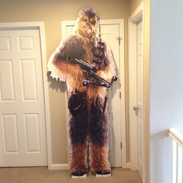 morning picdump 52 pics 5.html - 52 HD Photos | Premium Gallery 2016