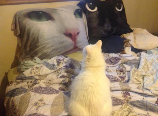 morning picdump 52 pics 5.html - 52 HD Photos | Premium Gallery 2016