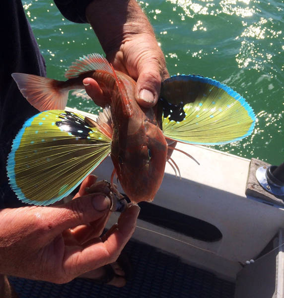 morning picdump 52 pics 5.html - 52 HD Photos | Premium Gallery 2016