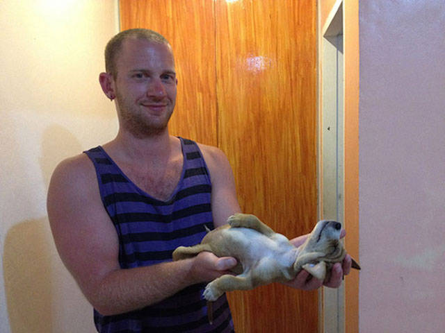 Dogs Can Sleep Anywhere and Everywhere