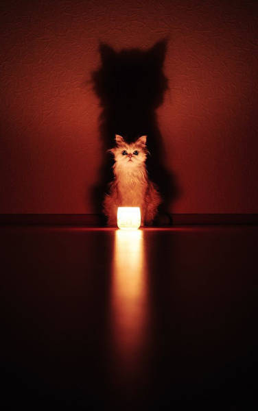 morning picdump 50 pics 5.html - 50 HD Photos | Premium Gallery 2016