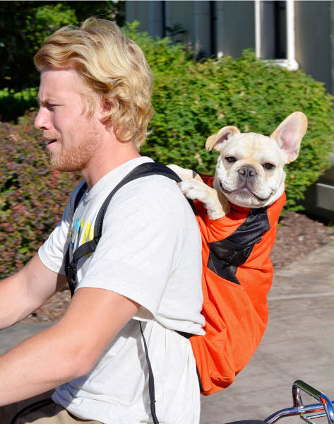 morning picdump 50 pics 5.html - 50 HD Photos | Premium Gallery 2016