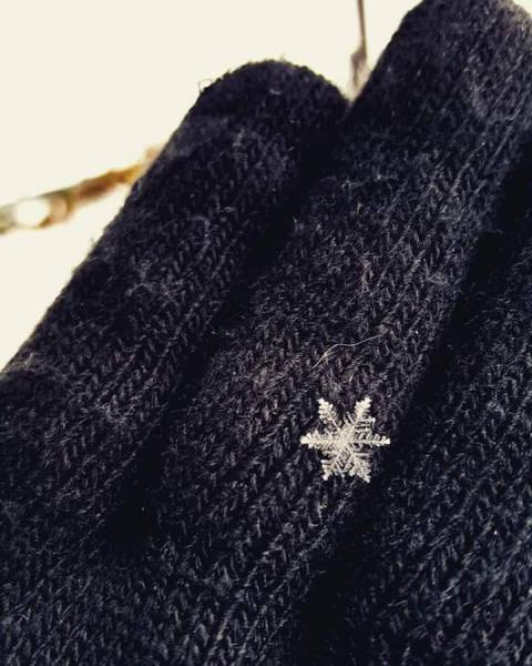 morning picdump 50 pics 5.html - 50 HD Photos | Premium Gallery 2016