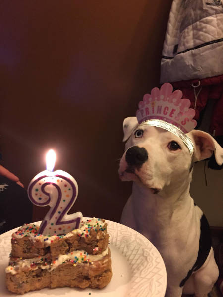 morning picdump 50 pics 5.html - 50 HD Photos | Premium Gallery 2016