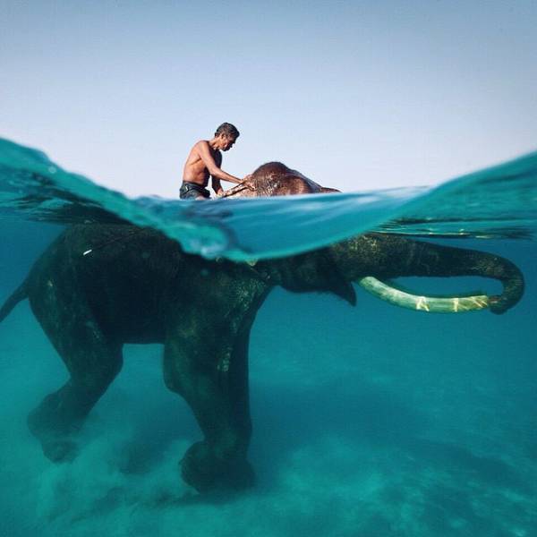 morning picdump 50 pics 5.html - 50 HD Photos | Premium Gallery 2016