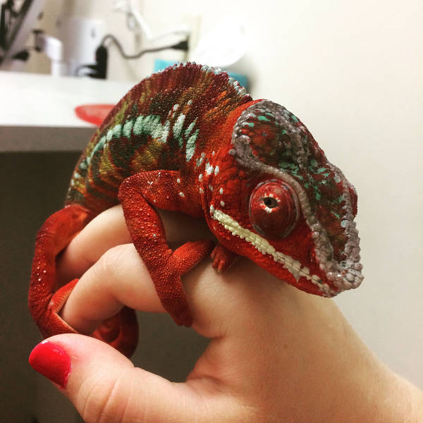 morning picdump 50 pics 5.html - 50 HD Photos | Premium Gallery 2016