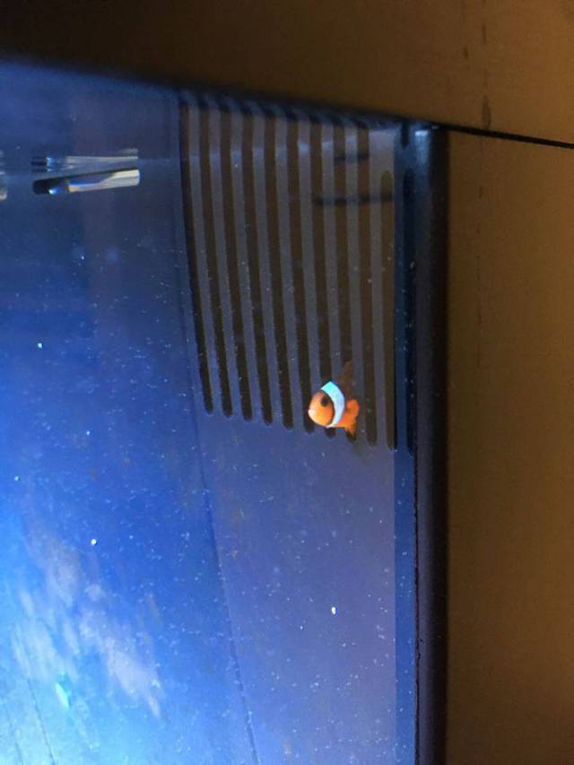 morning picdump 54 pics 4.html - 54 HD Photos | Premium Gallery 2016