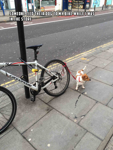 morning picdump 54 pics 27.html - 54 HD Photos | Premium Gallery 2016