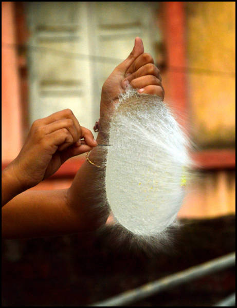 morning picdump 54 pics 27.html - 54 HD Photos | Premium Gallery 2016